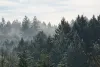 asher-ward-aqxql_v9qpm-unsplash