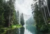 luca-bravo-eskw2ayo2as-unsplash