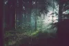 sebastian-unrau-sp-p7uut0tw-unsplash