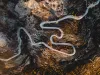 jack-anstey-zs4luqleina-unsplash
