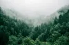 marita-kavelashvili-ugnrxk1129g-unsplash
