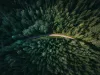 geranimo-qzgn45hsen0-unsplash
