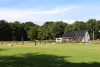 nieuwbouw_woning_veenendaal_natuur