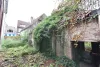 kuiperij_meester_hellestraat_amersfoort_begroeing