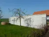 Woonboerderij_Langbroek_tuin