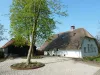 Woonboerderij_Langbroek_bed_en_breakfast