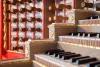 mg_9287-1030x687