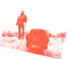 foto-grijze-ochtend